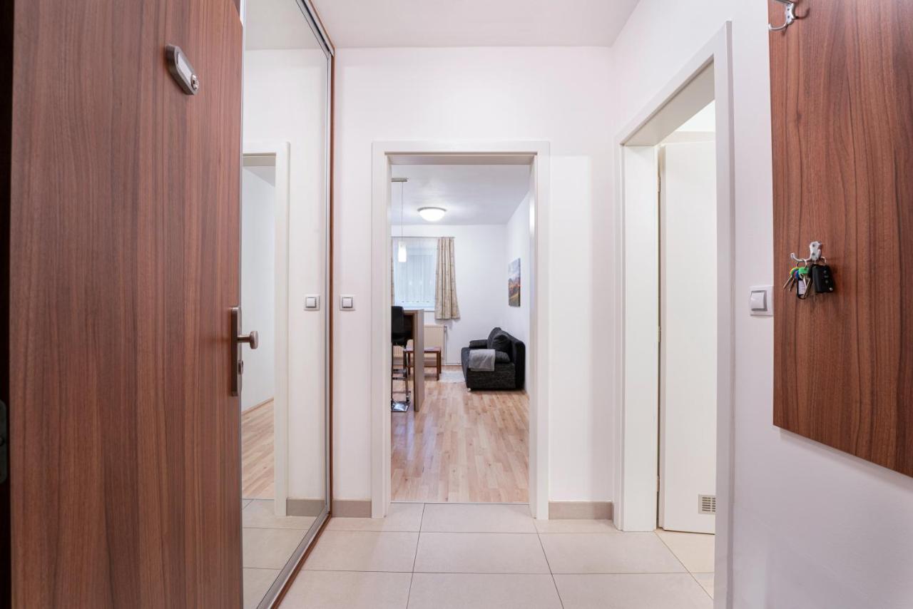 Depandance Marnet Sneznik Apartment Dolni Morava Exterior photo